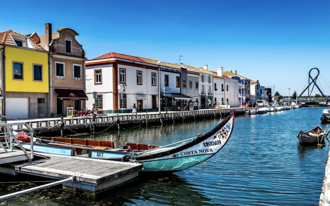 The Ruta do Cabaleiro will be filled with color in Aveiro