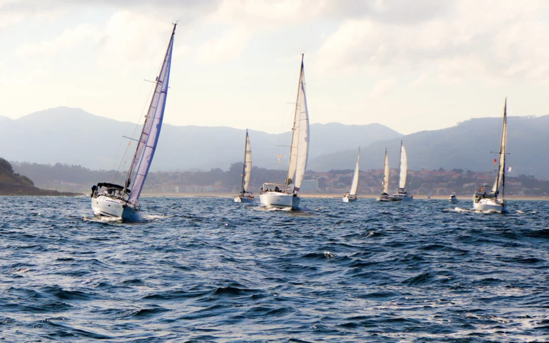 We bet on sailing